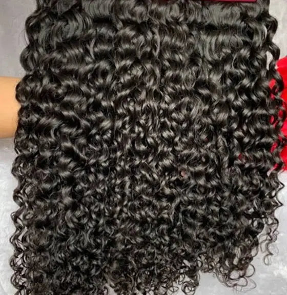 Burmese Curls